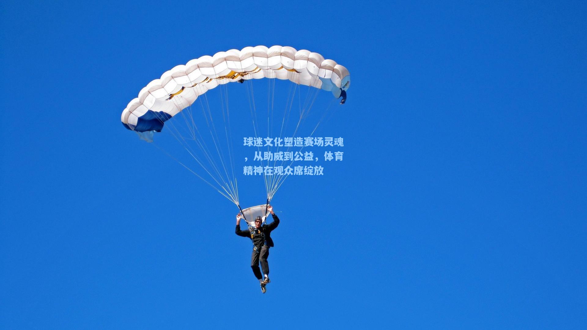 球迷文化塑造赛场灵魂，从助威到公益，体育精神在观众席绽放