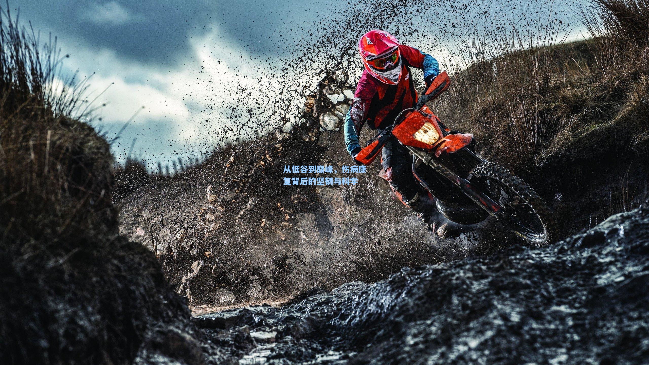 ayx-从低谷到巅峰，伤病康复背后的坚韧与科学