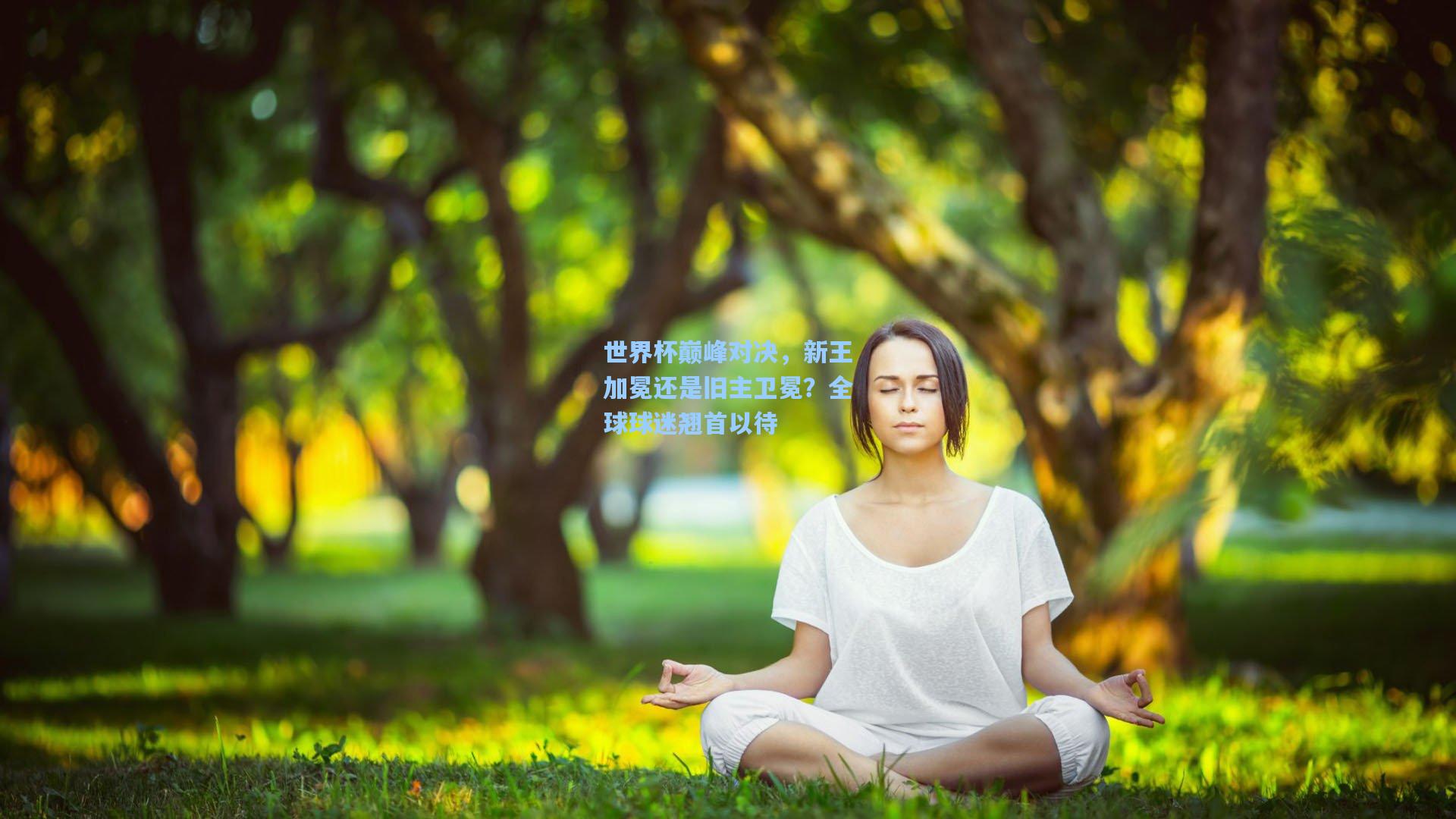 世界杯巅峰对决，新王加冕还是旧主卫冕？全球球迷翘首以待