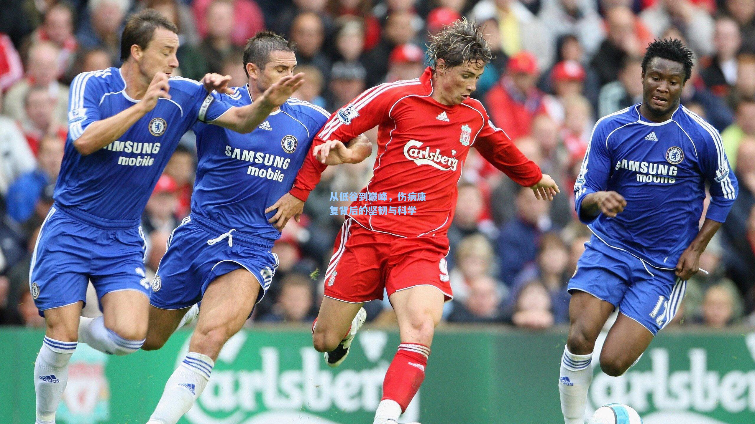 从低谷到巅峰,伤病康复背后的坚韧与科学