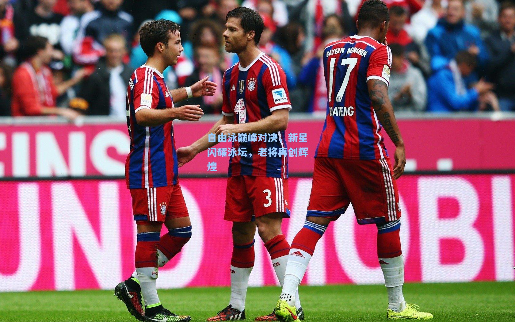 自由泳巅峰对决，新星闪耀泳坛，老将再创辉煌