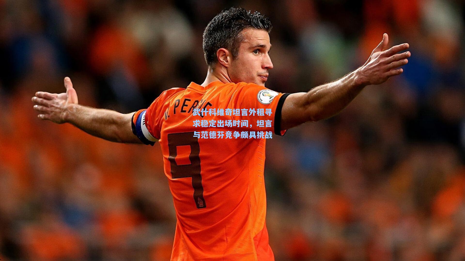武什科维奇坦言外租寻求稳定出场时间,坦言与范德芬竞争颇具挑战